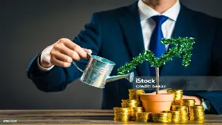 东莞金融行业文化：深入解析多元化金融服务类型