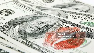 解析东莞市金融行业文化的多样类型与发展