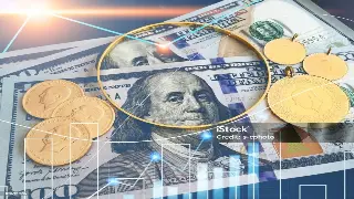 深入解析东莞市金融行业的多元文化类型