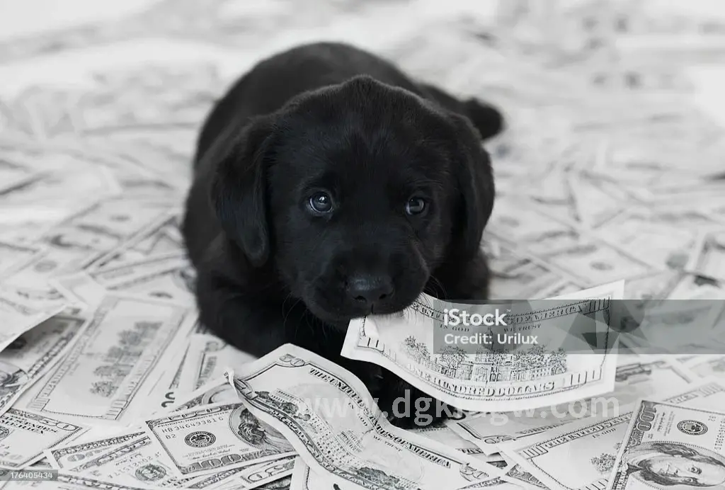 金融生活