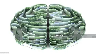 信用记录：你的金融身份证，在东莞混，没它寸步难行！