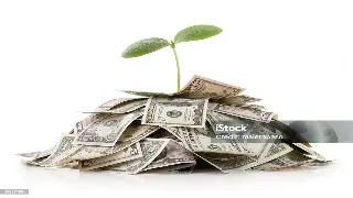 信用修复避坑指南：东莞老铁们，别再被这些坑爹套路忽悠了！