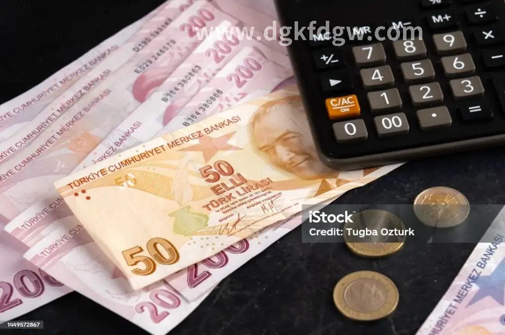 信用报告中的关键信息