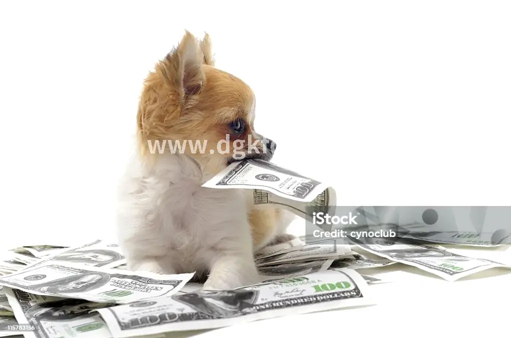 企业家融资策略