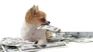 从“不起眼”到“大咖”，东莞这些企业家凭啥征服金融市场？